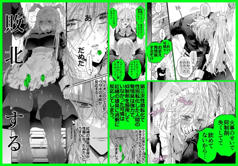 ターシャリトランスストレンジ*絶世の美女(元ヤン総長)が絶世の美男×2(敵対チーム総長)+(幼馴染)に執着溺愛される話