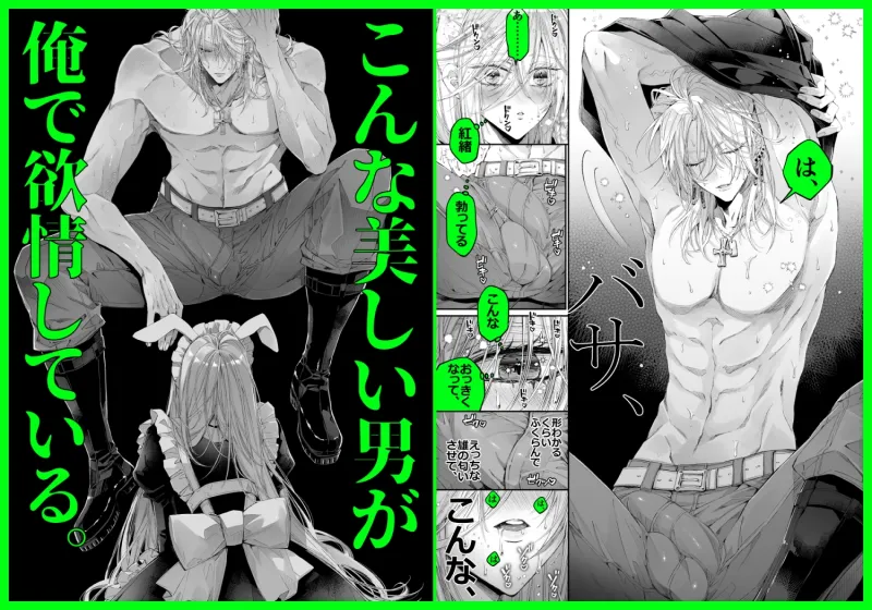 ターシャリトランスストレンジ*絶世の美女(元ヤン総長)が絶世の美男×2(敵対チーム総長)+(幼馴染)に執着溺愛される話