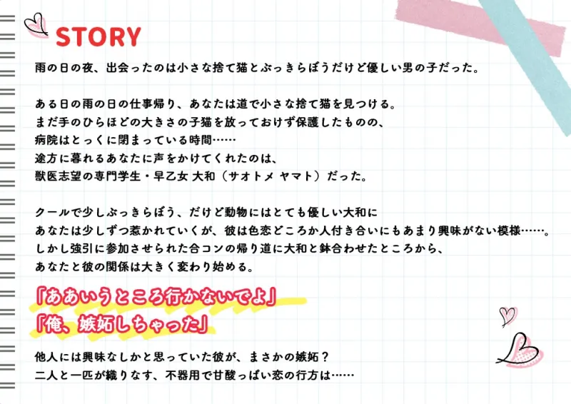 本文説明画像