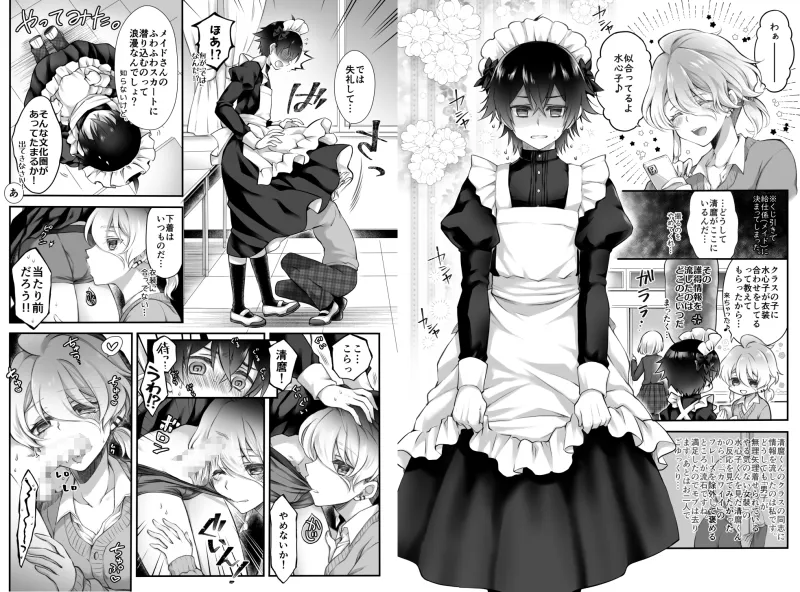 いろいろなすいまろ
