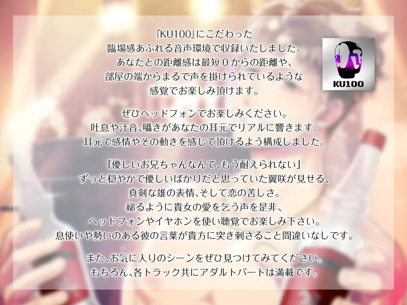 本文説明画像