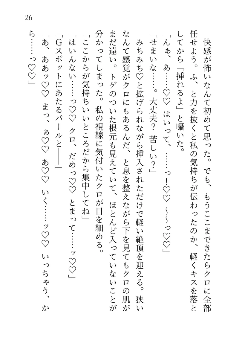 特殊なアタッチメントを付けたセックス用アンドロイドとたくさんえっちする話