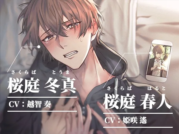 本文説明画像