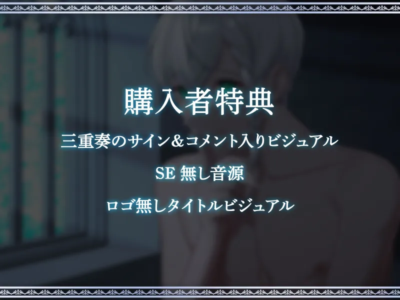 乙女ゲームのモブ令嬢は今日もセックスを断れない～リチャード編～