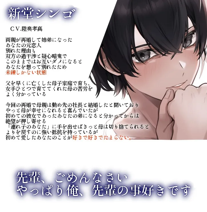 本文説明画像