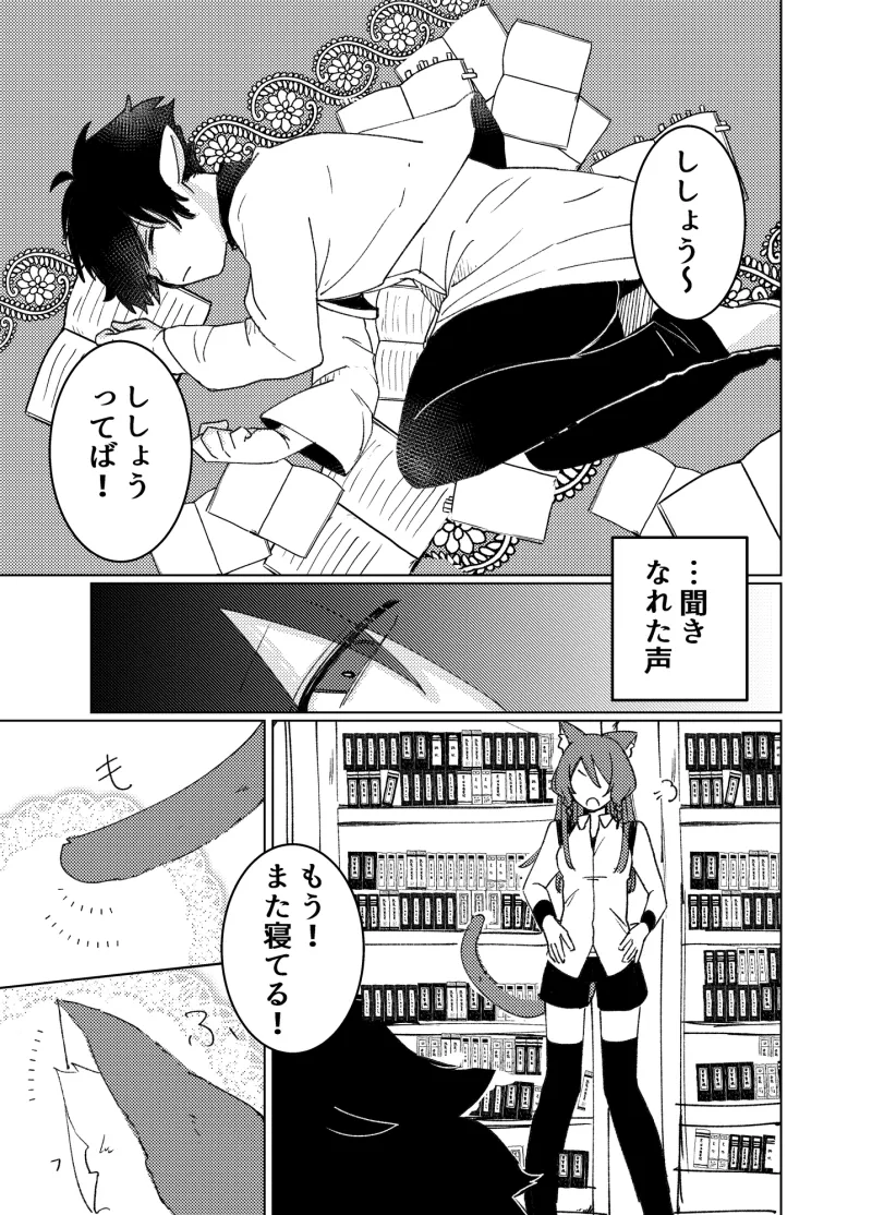 星は夜明けと共に。