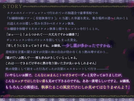 盲愛救済メディジスン～ヤンデレ執着ドS執事に中出し連続絶頂レッスンで堕とされる～