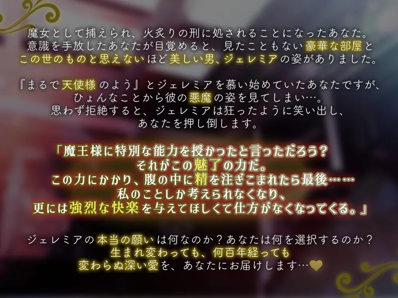 本文説明画像