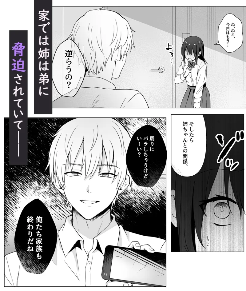 今日も私は大嫌いなクズ義弟の玩具