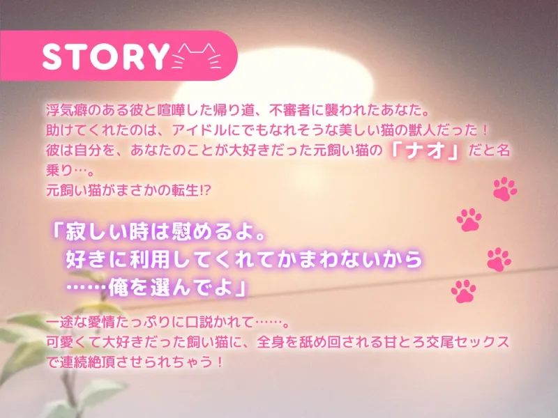 本文説明画像