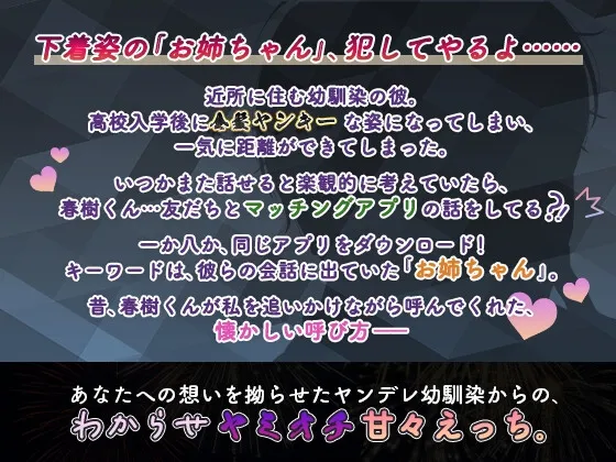 本文説明画像