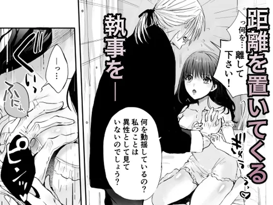 召使いはお嬢様の性欲処理具