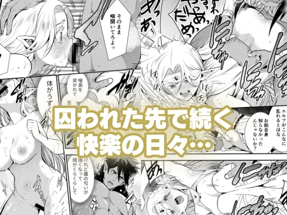 オークの花嫁 ～攫われエルフは快楽に堕ちる～