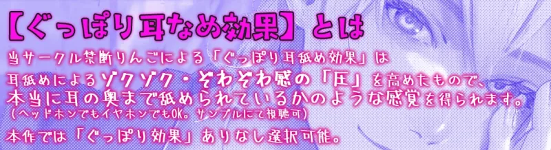 本文説明画像