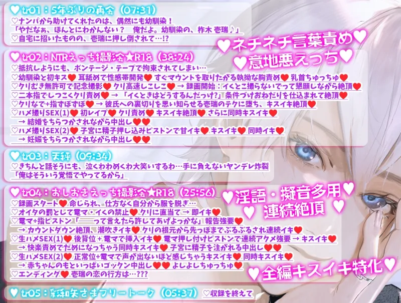 本文説明画像