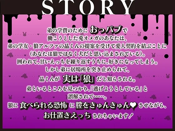 狼アルファ×兎オメガ～弟の学費のためにおっパブで働こうとしたら身体ごとお買い上げされちゃいました～