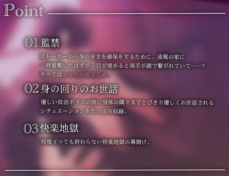 本文説明画像