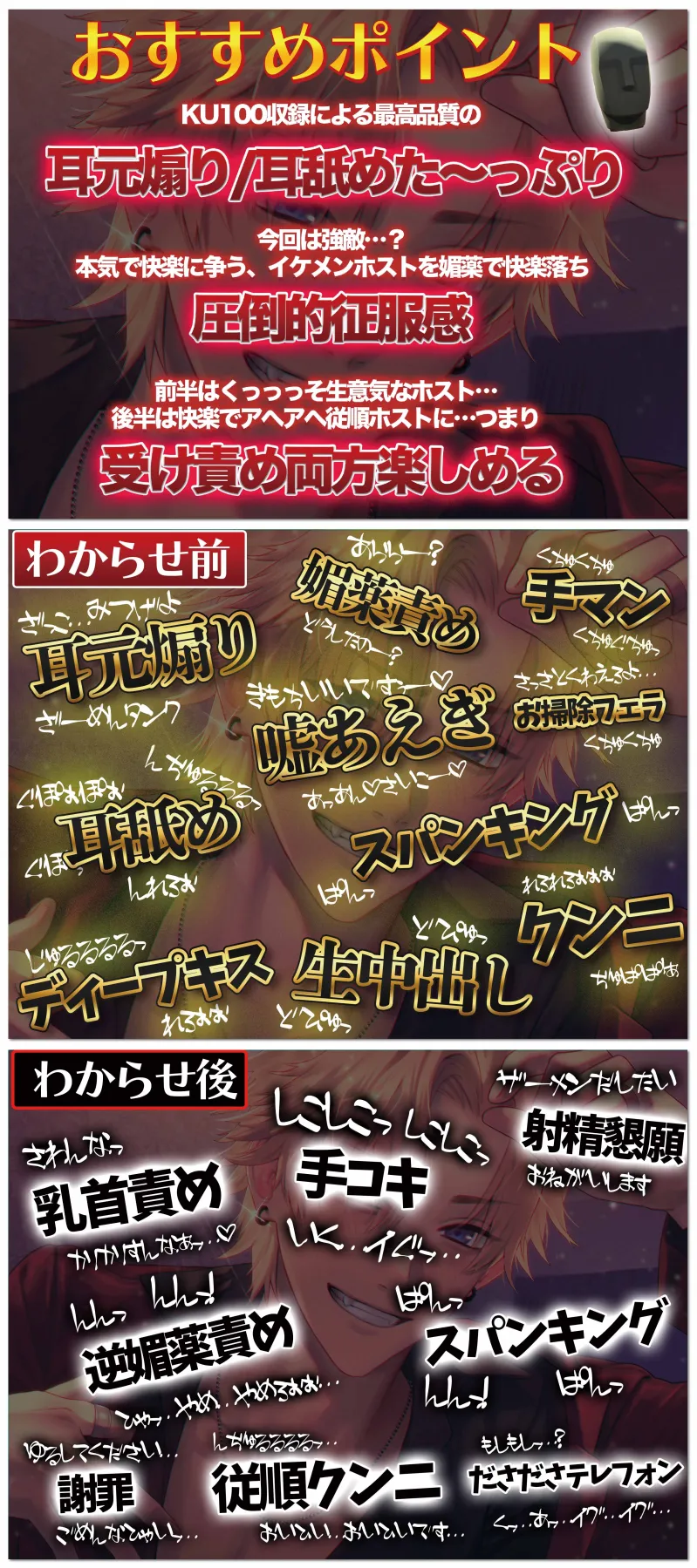 本文説明画像