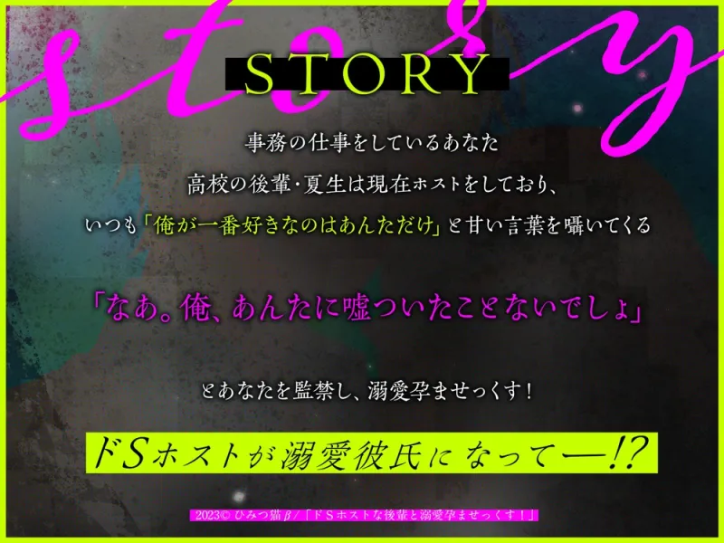 本文説明画像