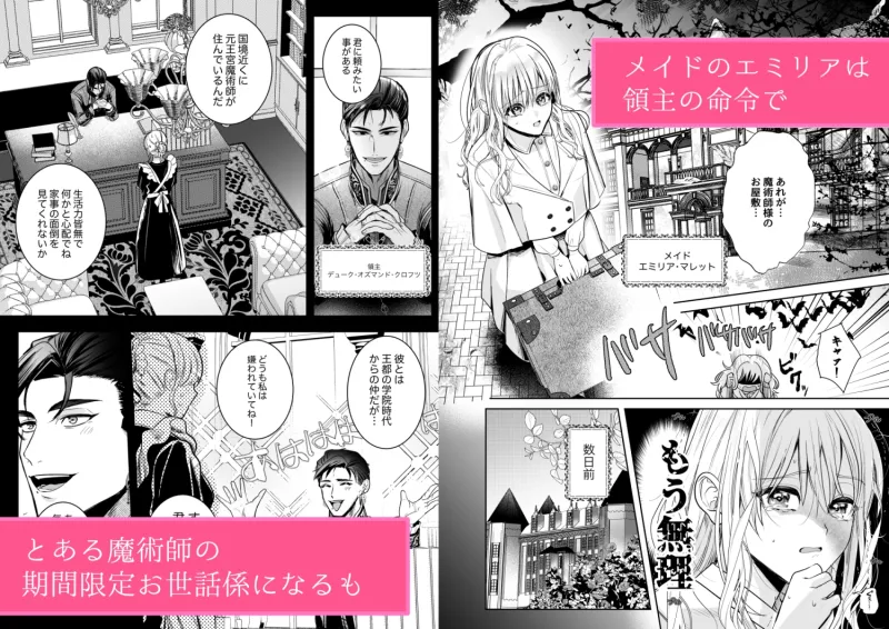 魔術師の花檻