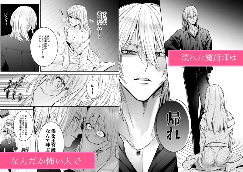 魔術師の花檻