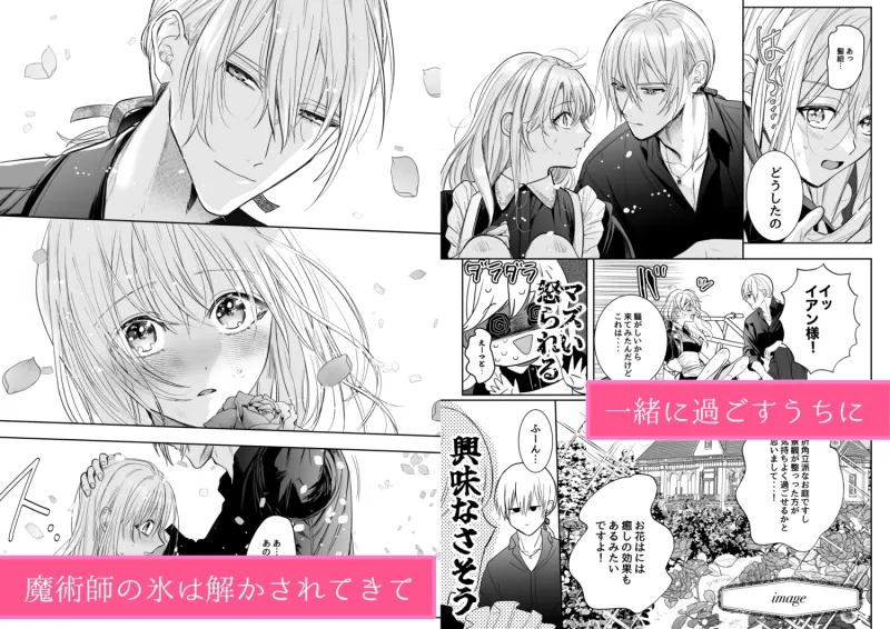 魔術師の花檻