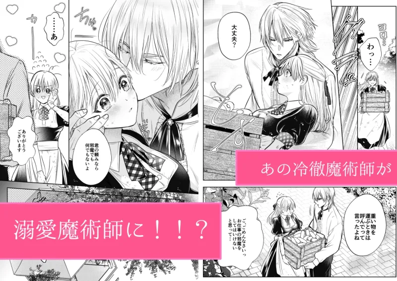 魔術師の花檻