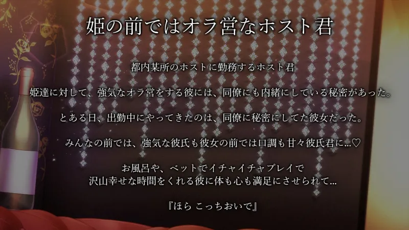 本文説明画像