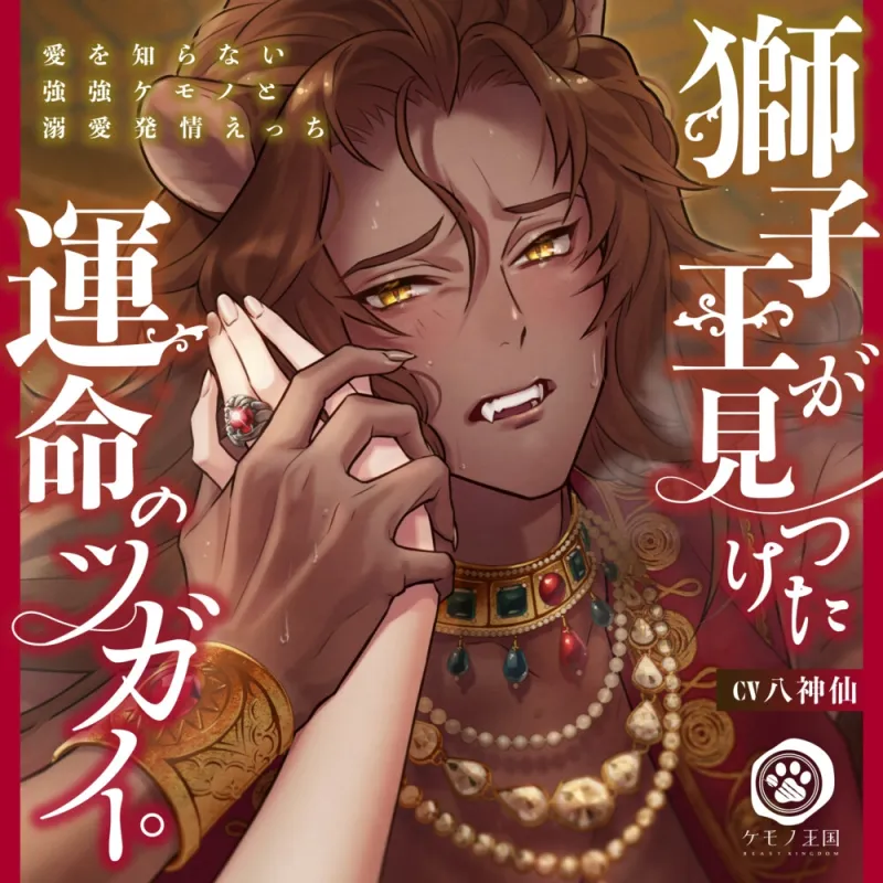 本文説明画像