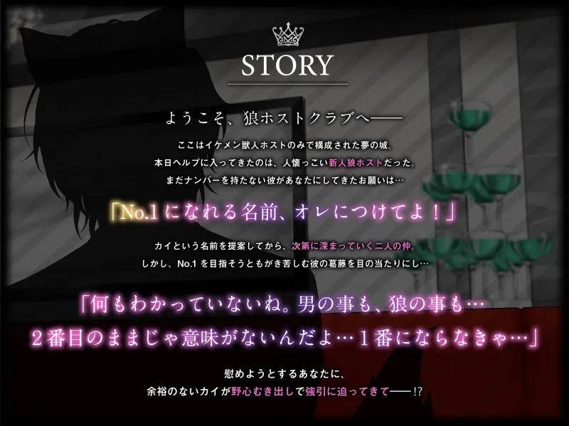 本文説明画像