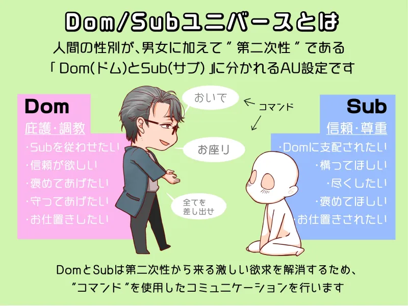 Dom/Subユニバース～信頼と愛情の証～