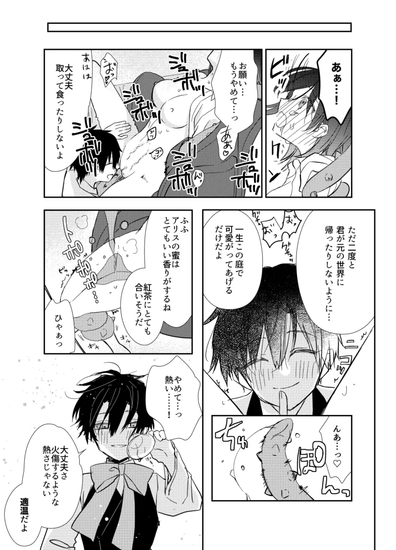 本文説明画像