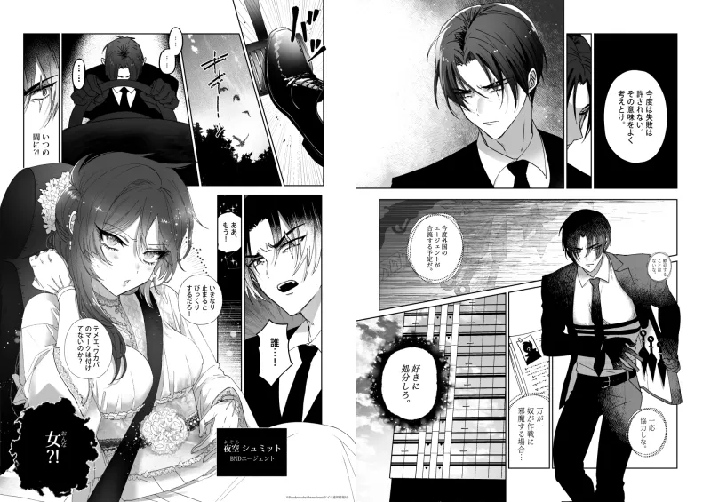 Kπ ～公安警察と異国の魔女の二人～