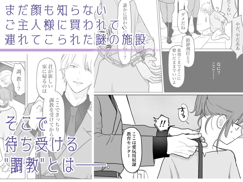 愛玩用奴隷教育センターFile 01