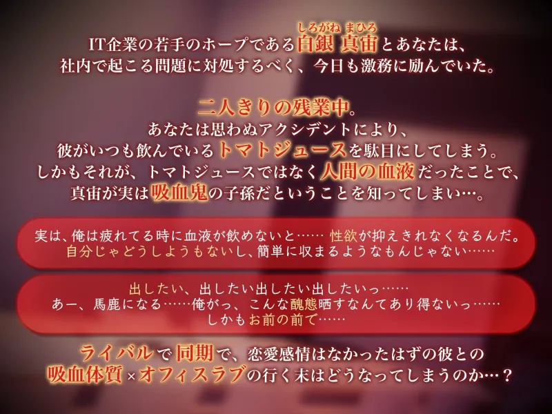 本文説明画像