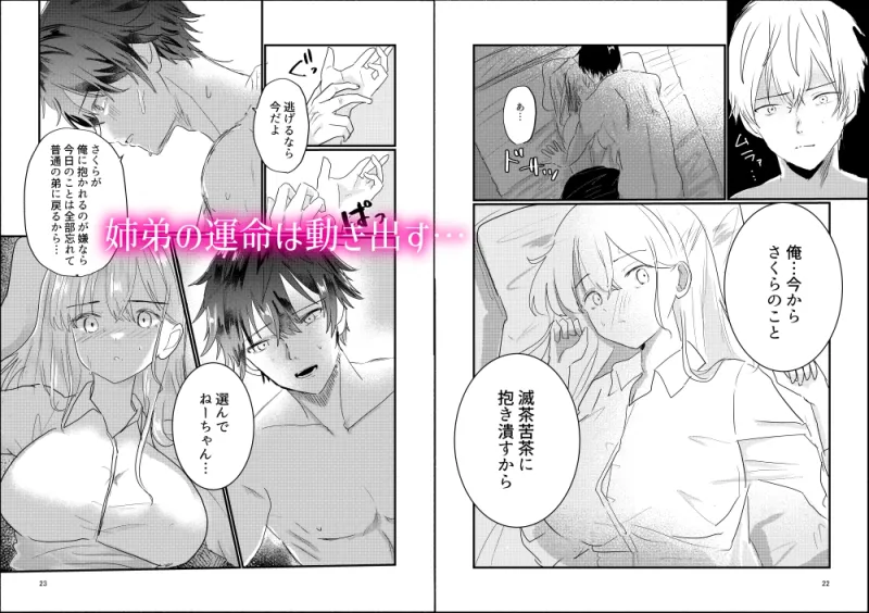 姉じゃなきゃ××しない⁉～一途な弟に求められて流されエッチ⁉～