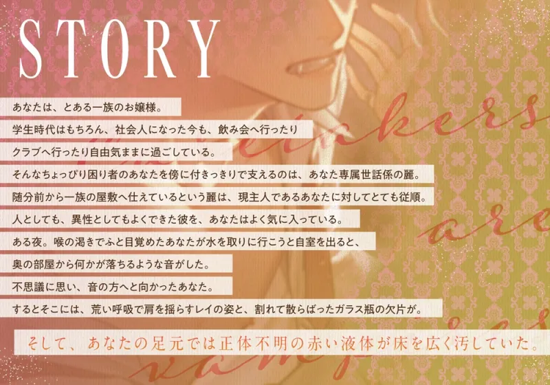 本文説明画像