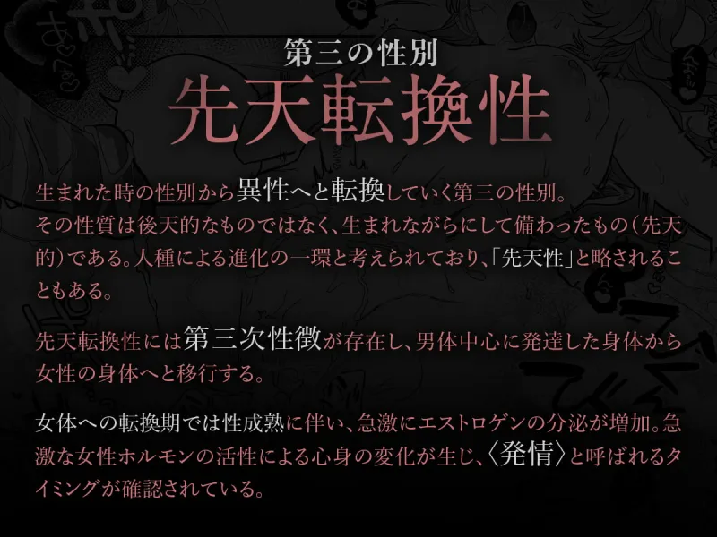 本文説明画像
