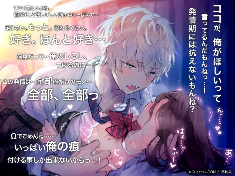 本文説明画像