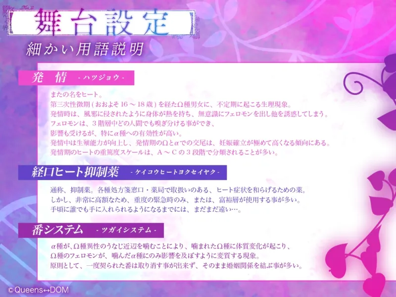 本文説明画像