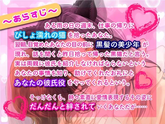 本文説明画像