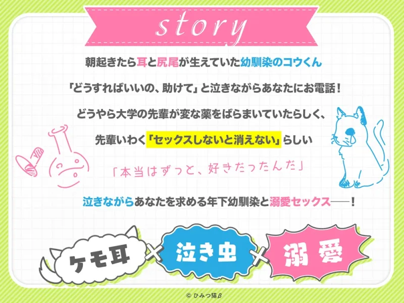 本文説明画像