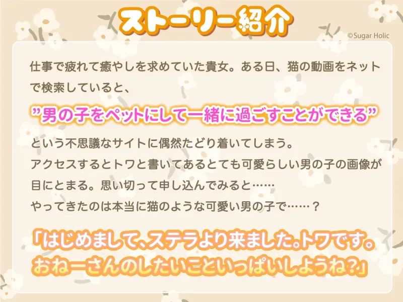 本文説明画像