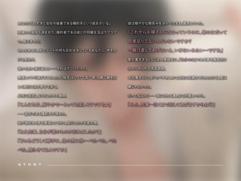本文説明画像