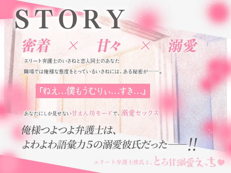 本文説明画像