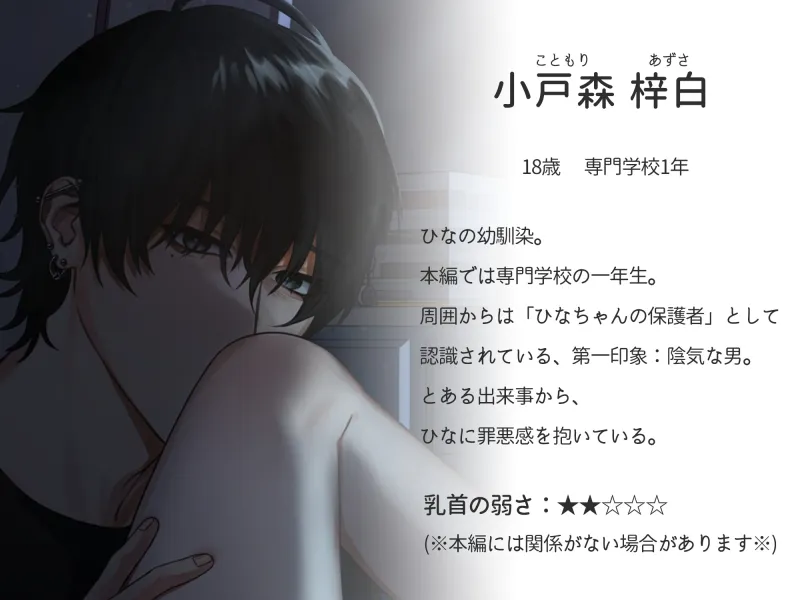 本文説明画像