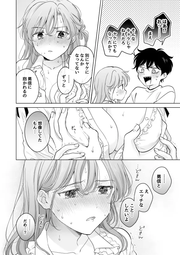 本文説明画像